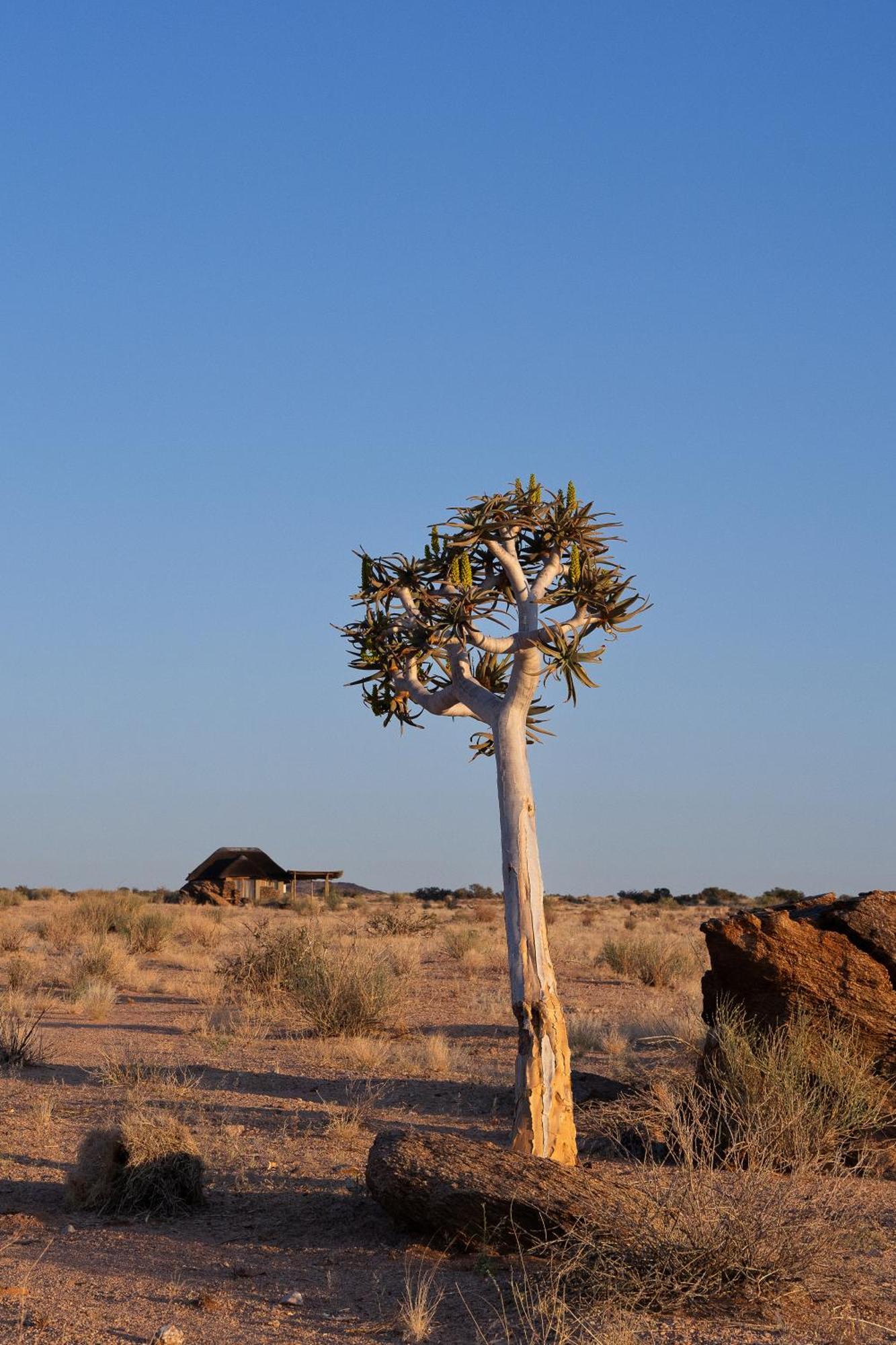 Sandfontein Lodge & Nature Reserve Екстериор снимка