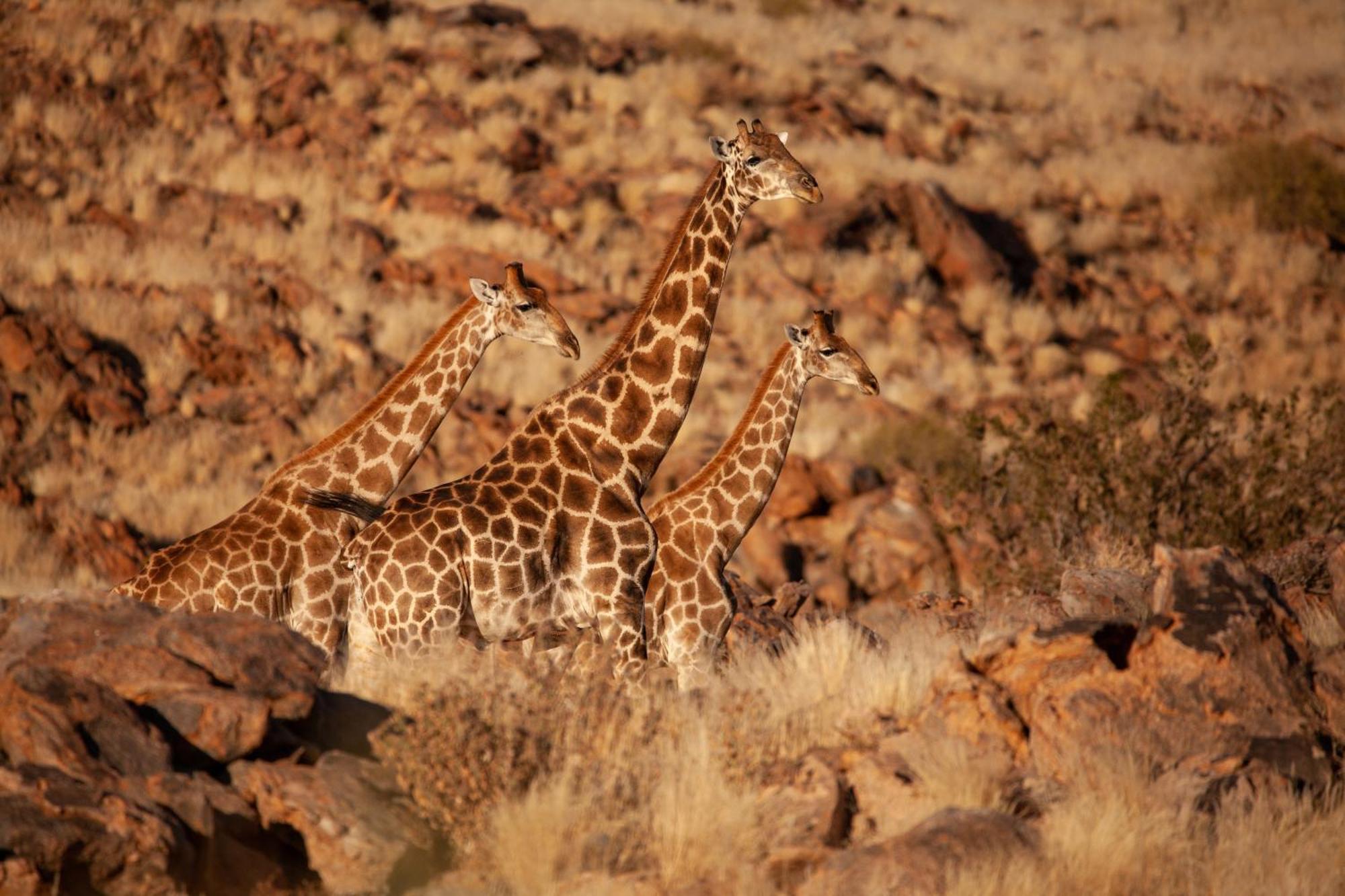 Sandfontein Lodge & Nature Reserve Екстериор снимка