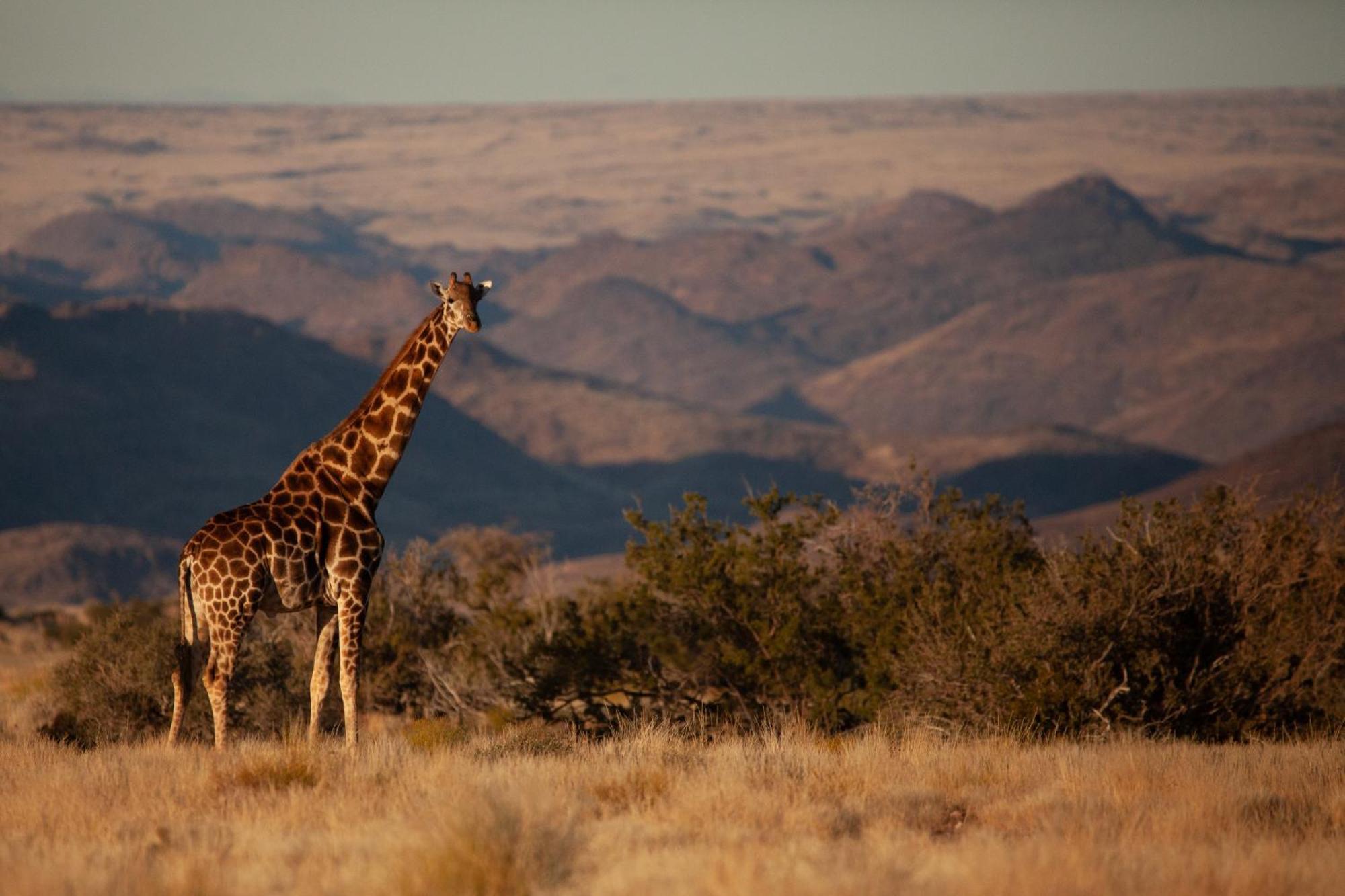 Sandfontein Lodge & Nature Reserve Екстериор снимка