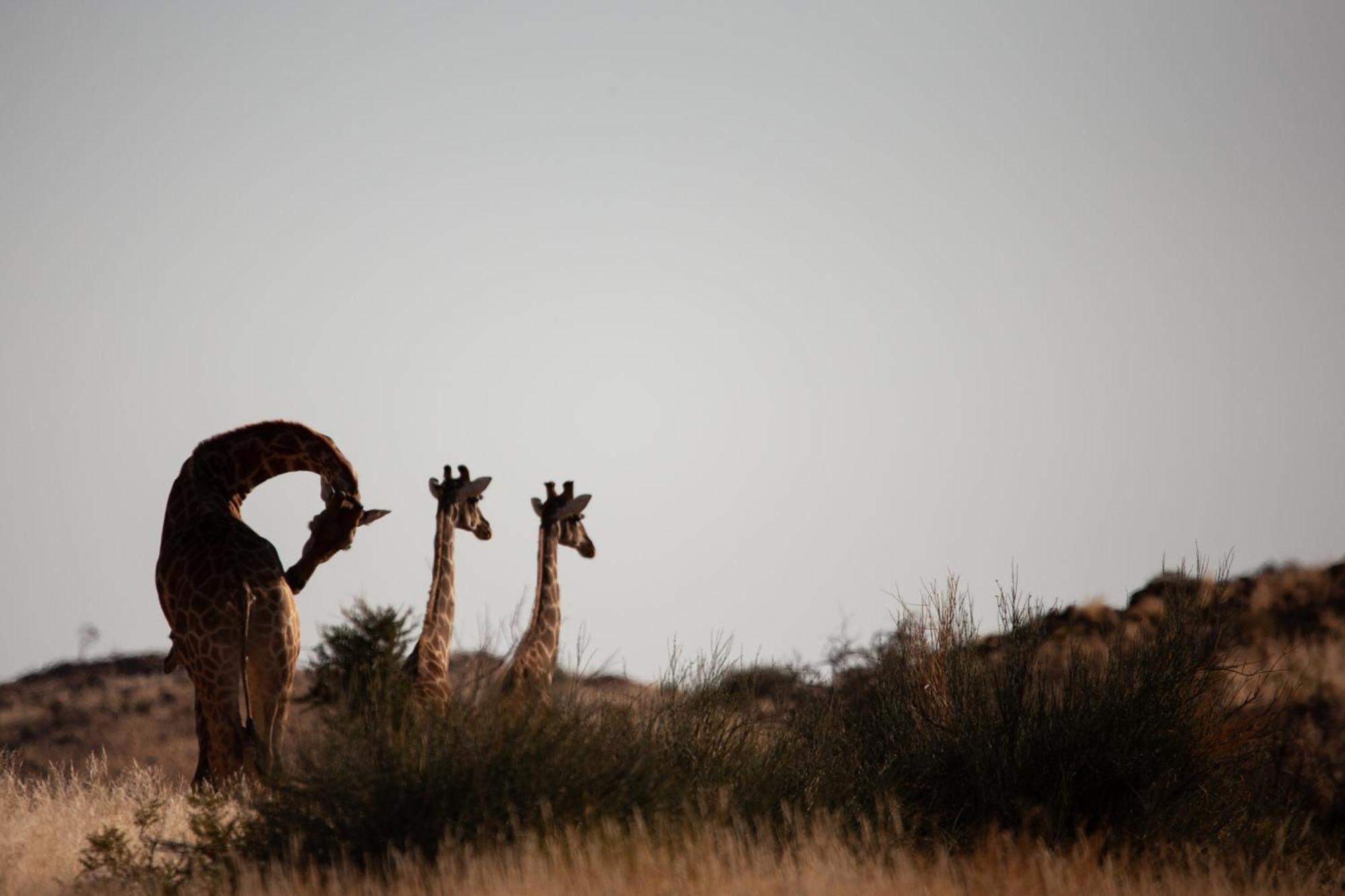 Sandfontein Lodge & Nature Reserve Екстериор снимка