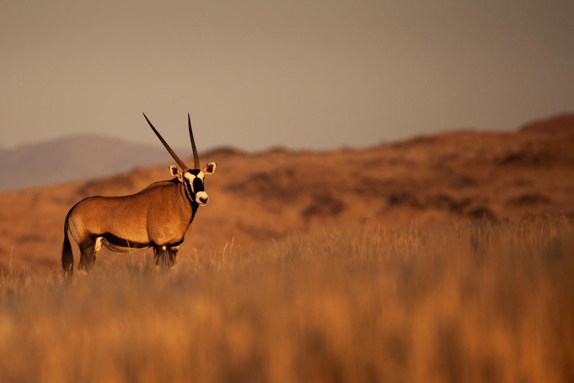 Sandfontein Lodge & Nature Reserve Екстериор снимка